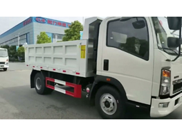 Chengli Special Automobile Co.,Ltd Delivery Mini Howo Tipper Truck