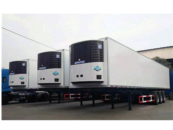 20gp and 40gp Refrigerator Trailer Inside Temperature Can Be -5 Degree to -15 Degree