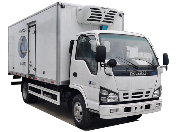 Japanese Chassis ISUZU 4.1 meters 13 Ton Freezer van for sales