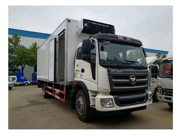 8 Ton and 10 Ton Foton Refrigerated Truck Box Freezer Van with Lifting Plate