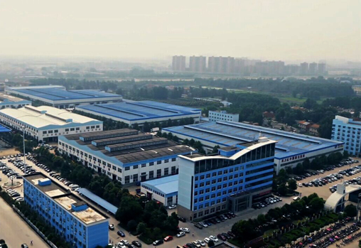 company profile