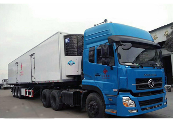 20gp and 40gp Refrigerator Trailer Inside Temperature Can Be -5 Degree to -15 Degree