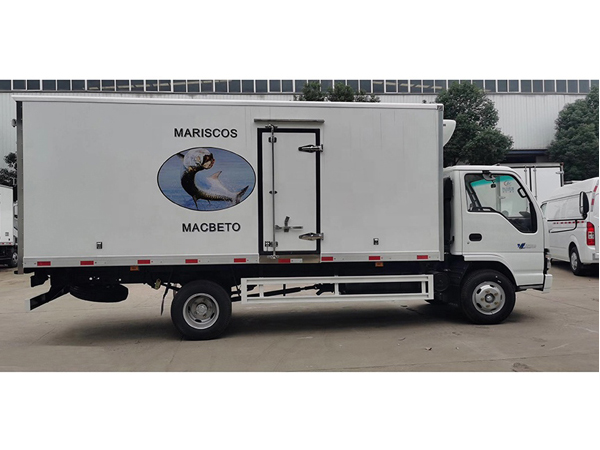 Japanese Chassis ISUZU 4.1 meters 13 Ton Freezer van for sales