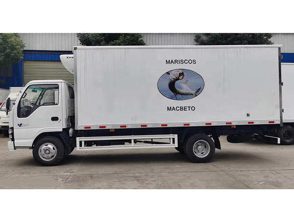 Japanese Chassis ISUZU 4.1 meters 13 Ton Freezer van for sales