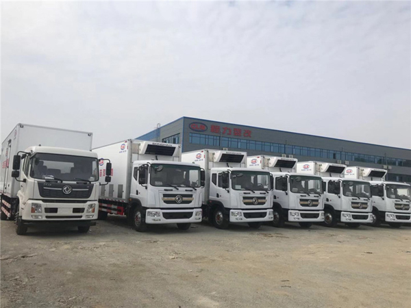 Dongfeng 15 Ton one day baby chicken Transport Truck