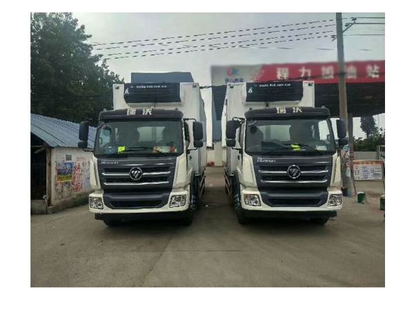 8 Ton and 10 Ton Foton Refrigerated Truck Box Freezer Van with Lifting Plate