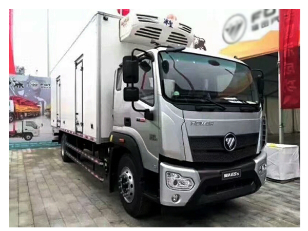 8 Ton and 10 Ton Foton Refrigerated Truck Box Freezer Van with Lifting Plate