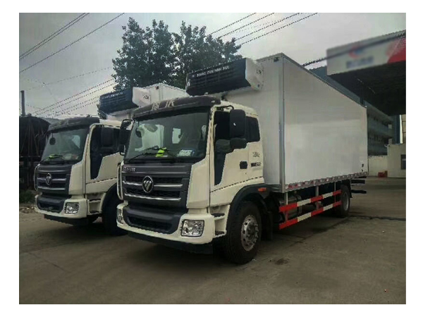 8 Ton and 10 Ton Foton Refrigerated Truck Box Freezer Van with Lifting Plate