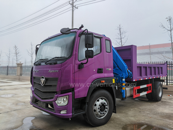 Foton Truck 3.2Ton Crane XCMG Telescoping Boom Truck Mounted Fold Crane